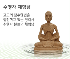 참수행 수행자 체험담